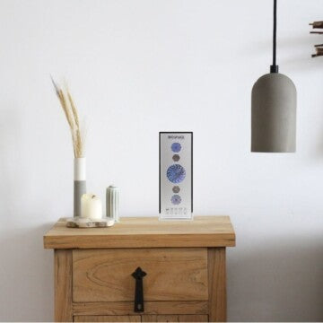 Pranan BioSpace 8V-11